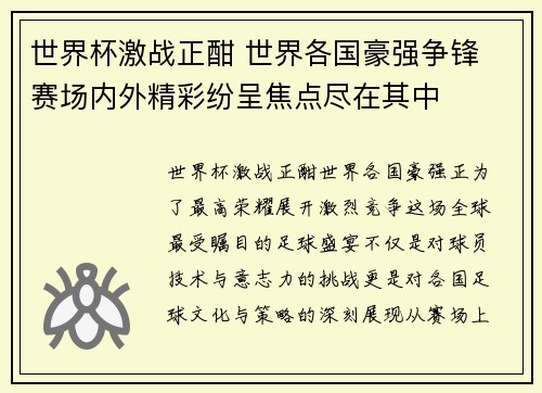 世界杯激战正酣 世界各国豪强争锋 赛场内外精彩纷呈焦点尽在其中